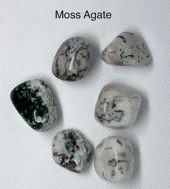 Moss Agate - The Crystal Kingdom Academy